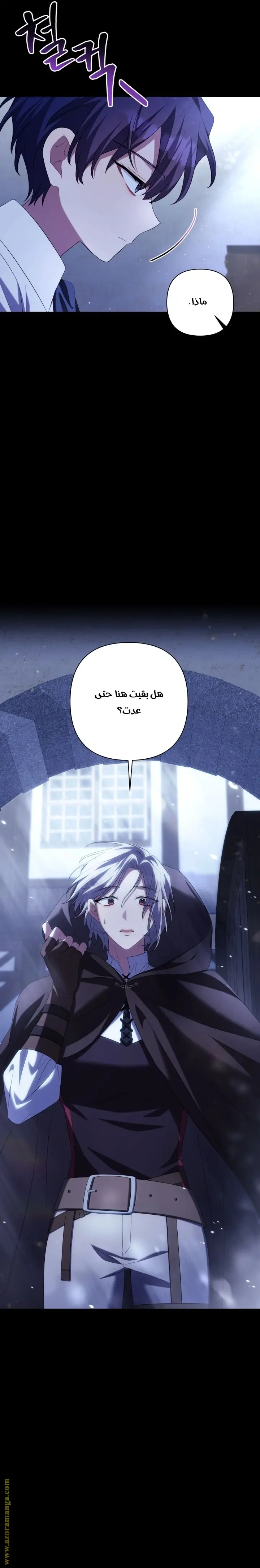 الصفحة 17