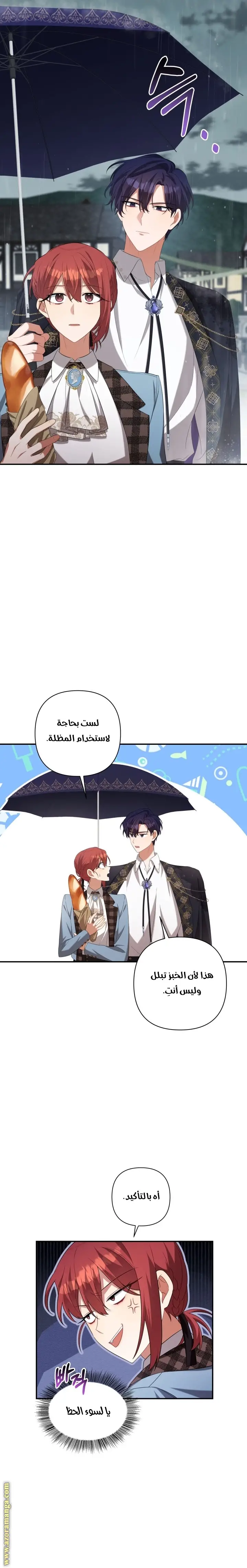 الصفحة 24