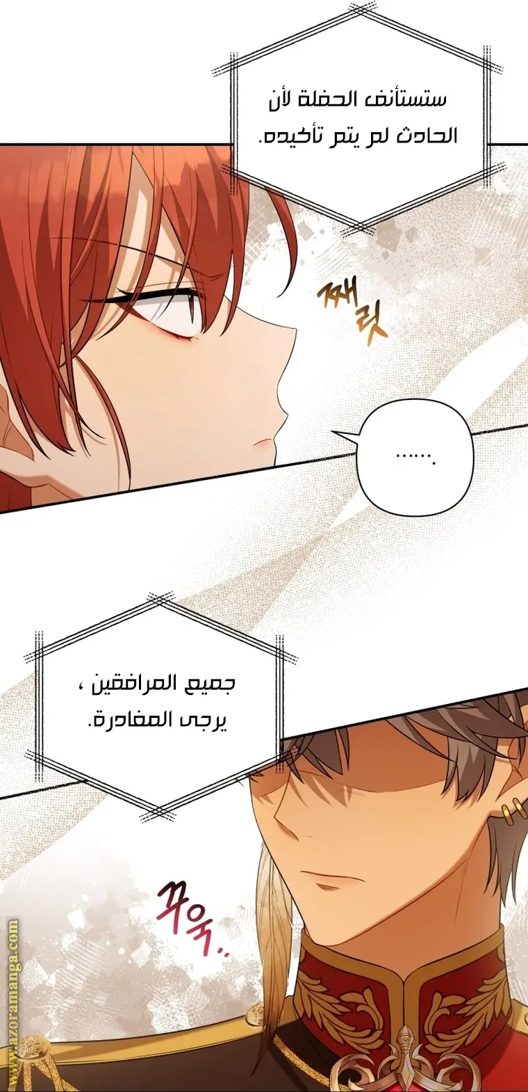 الصفحة 41