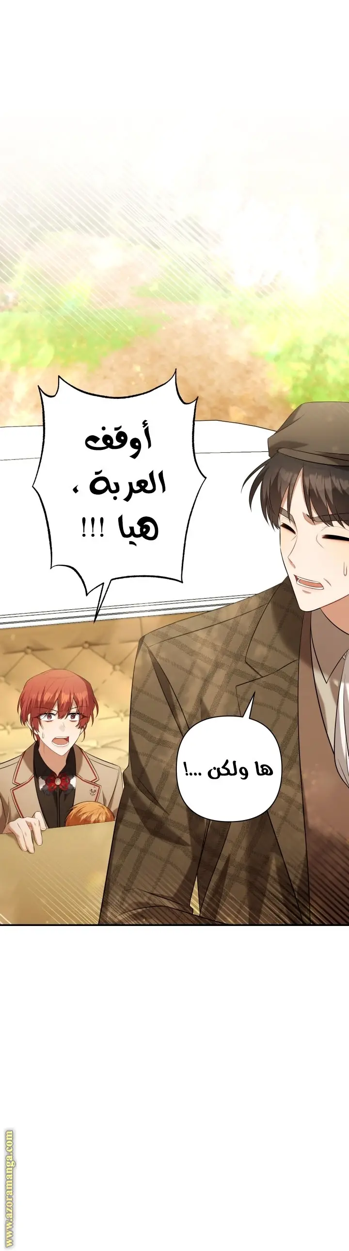 الصفحة 42
