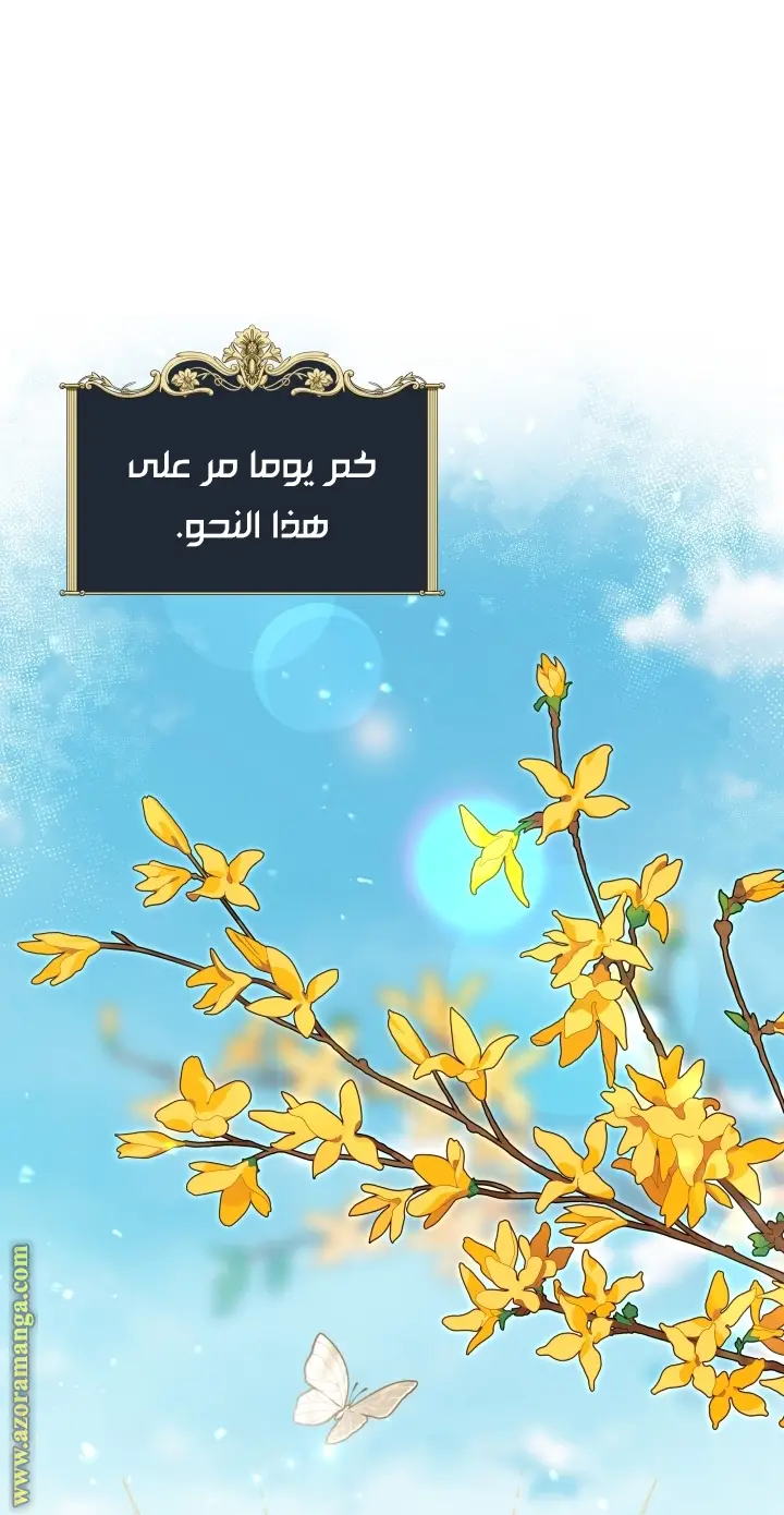 الصفحة 41