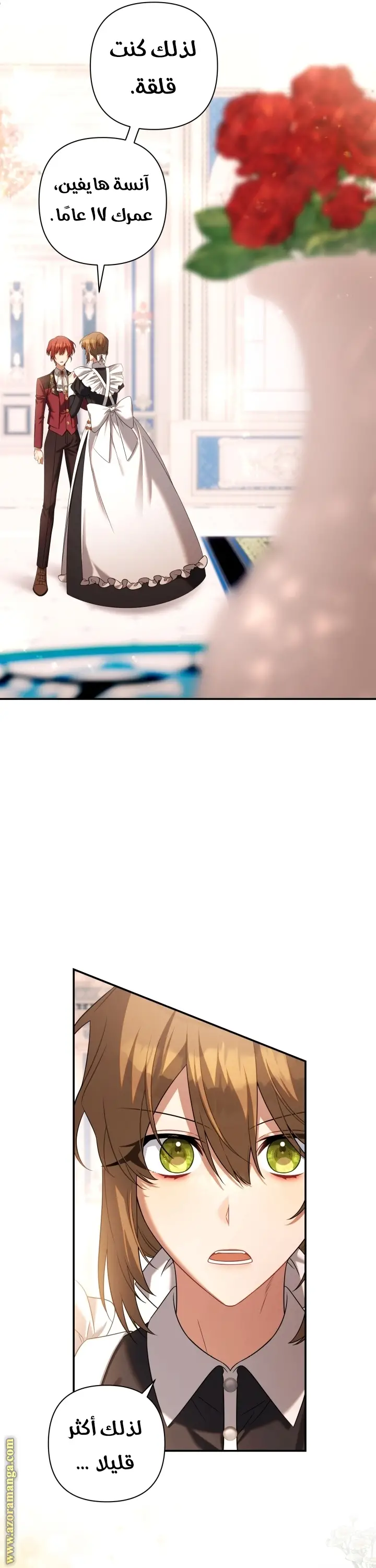 الصفحة 11