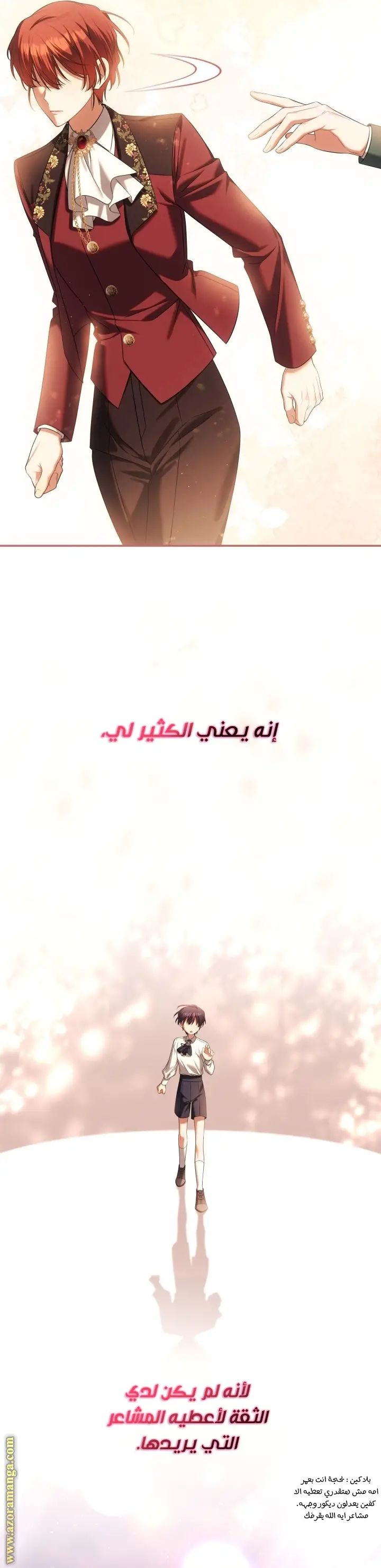 الصفحة 17