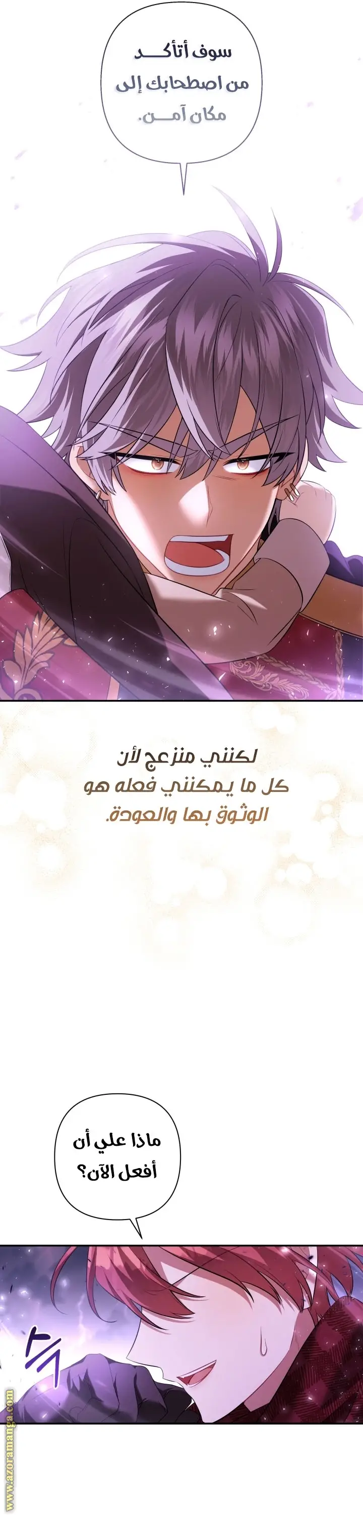 الصفحة 25