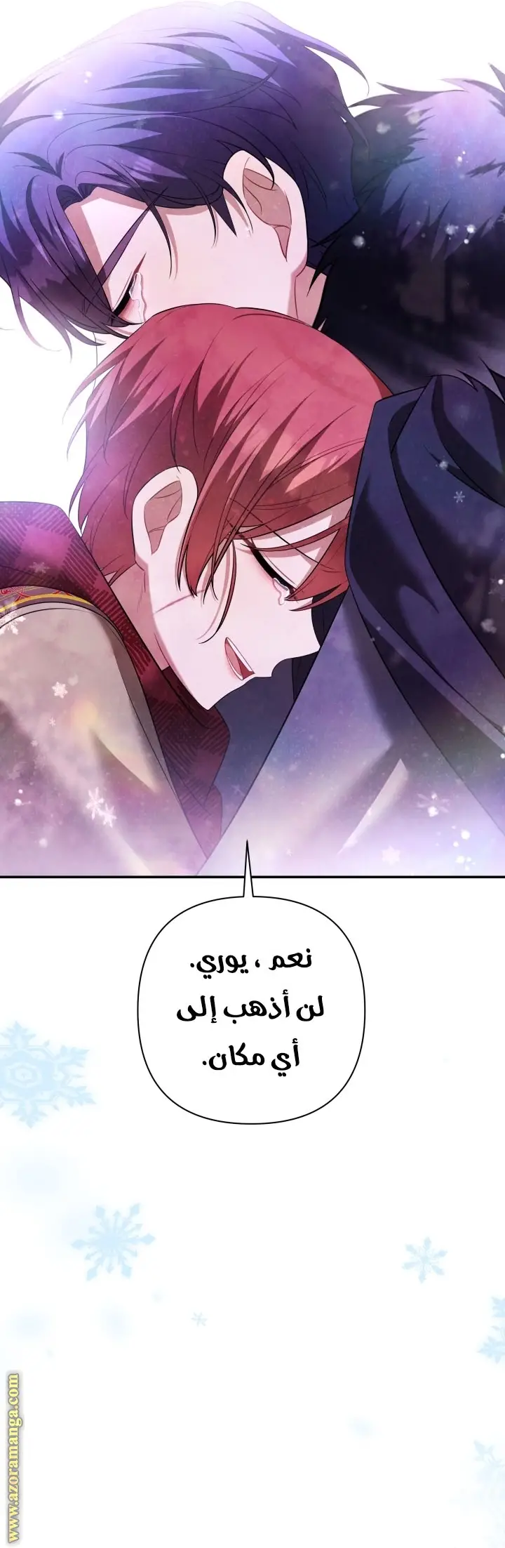الصفحة 41