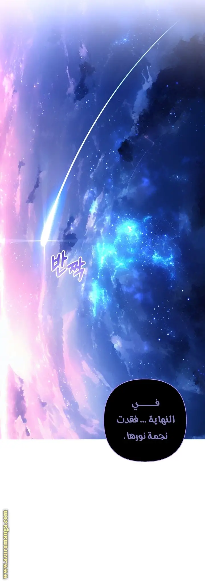 الصفحة 43