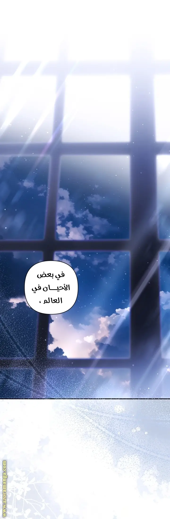 الصفحة 17
