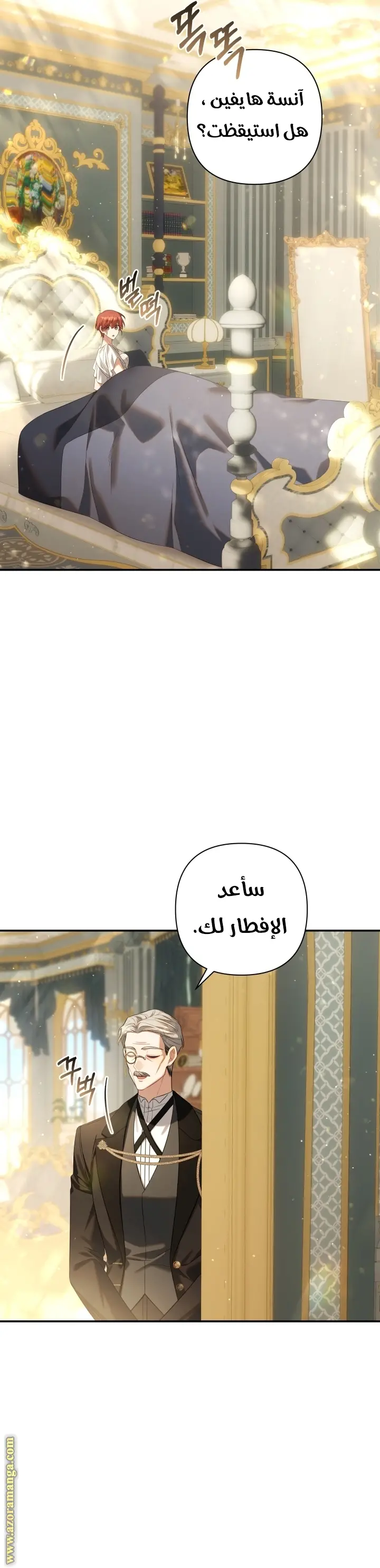 الصفحة 25