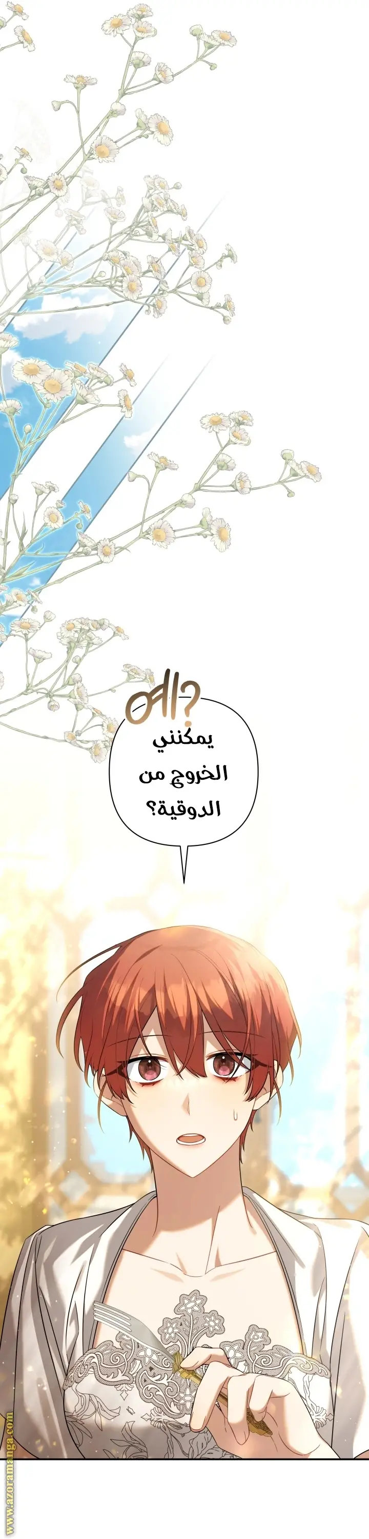 الصفحة 26