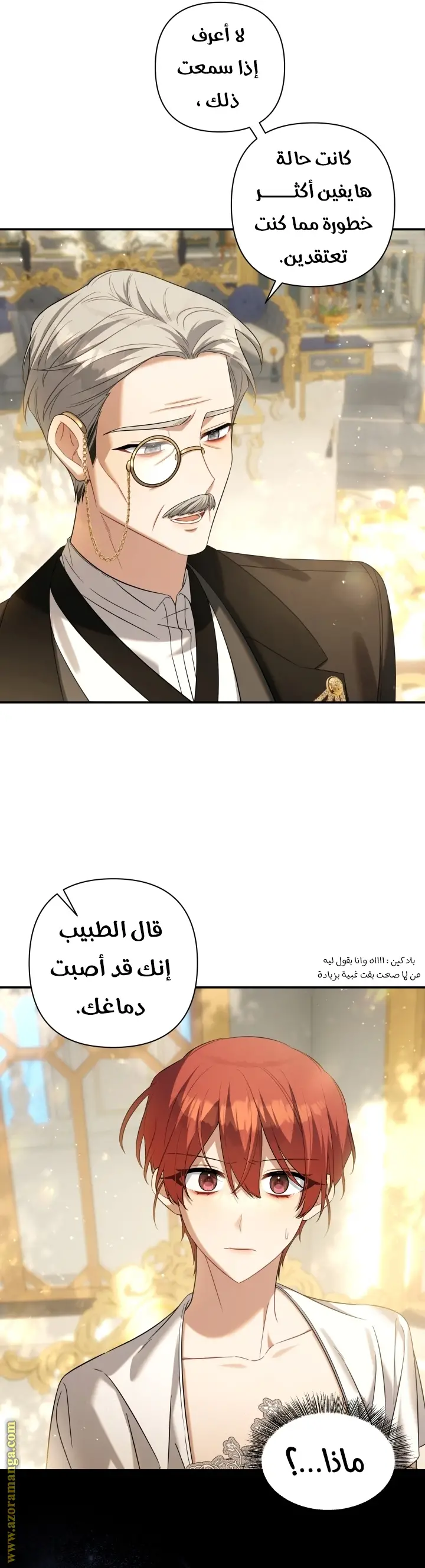 الصفحة 30