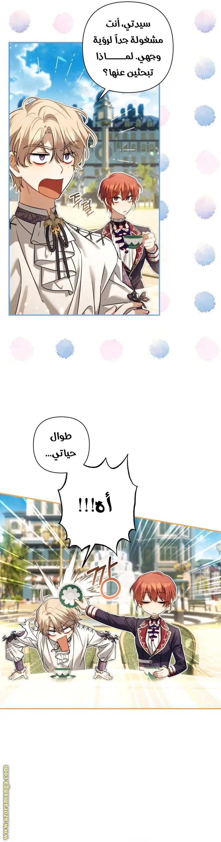 الصفحة 20