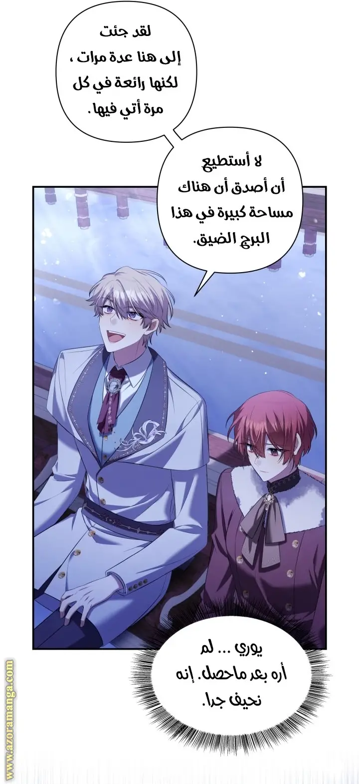 الصفحة 25