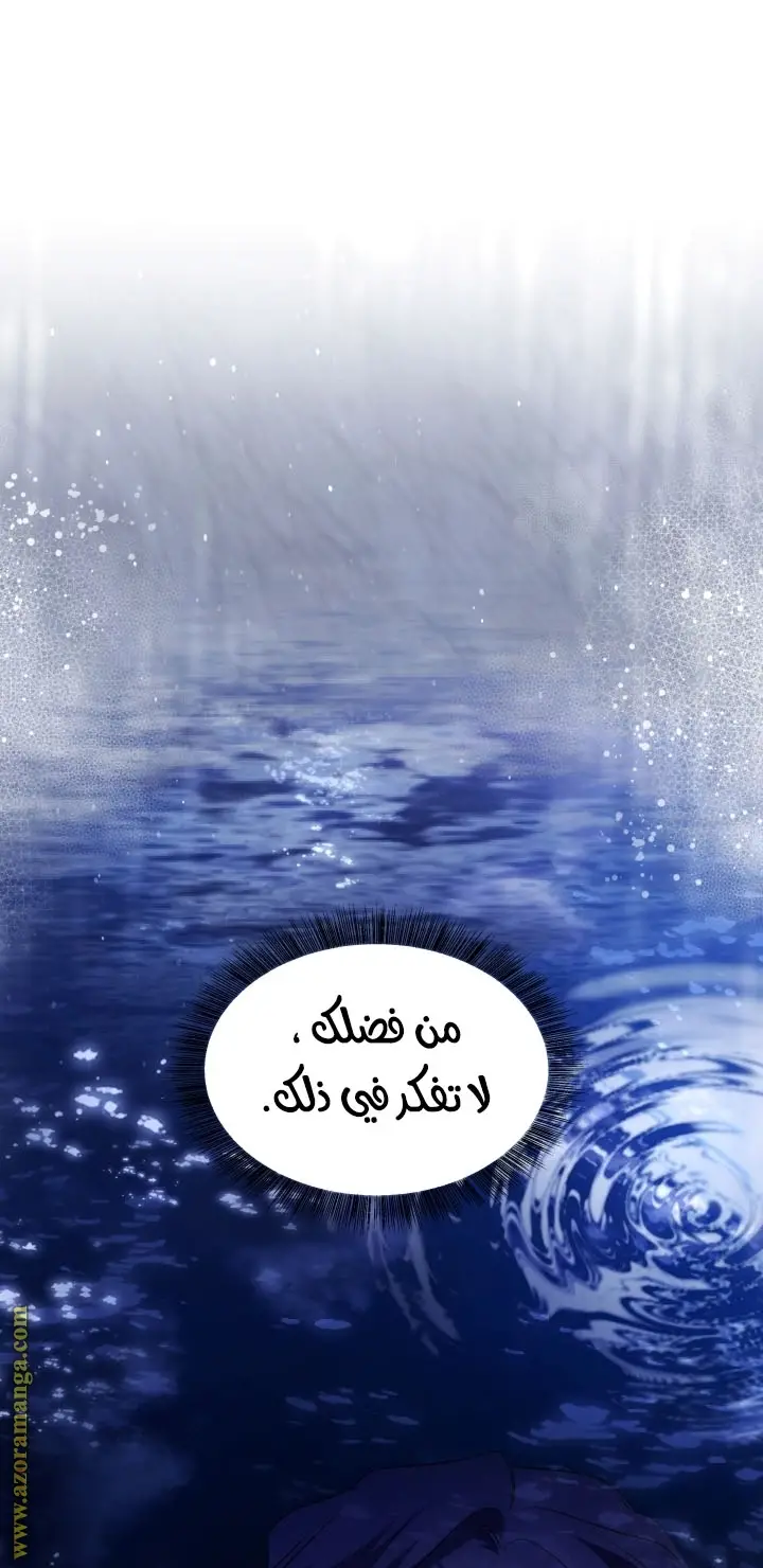 الصفحة 43