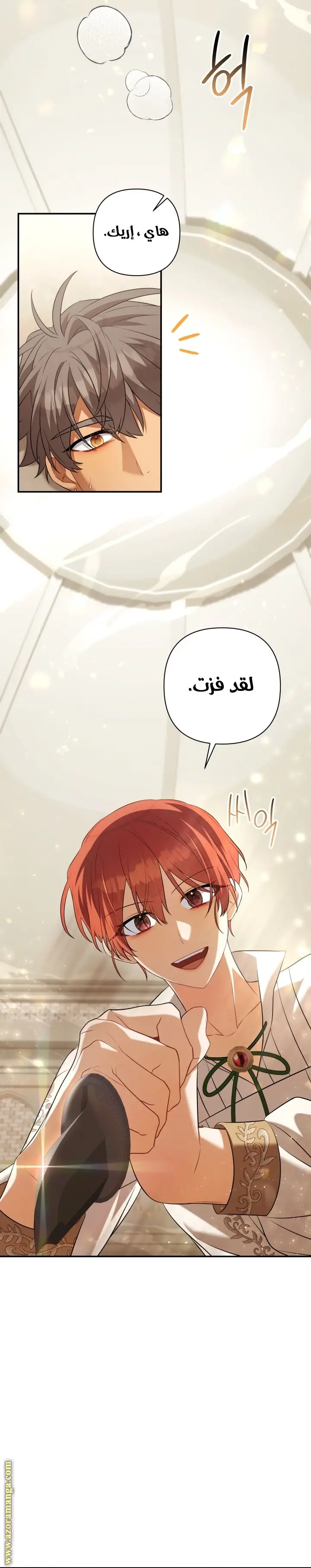 الصفحة 14