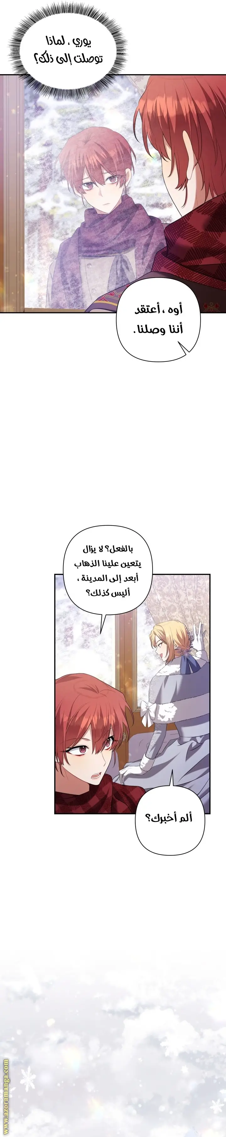الصفحة 29