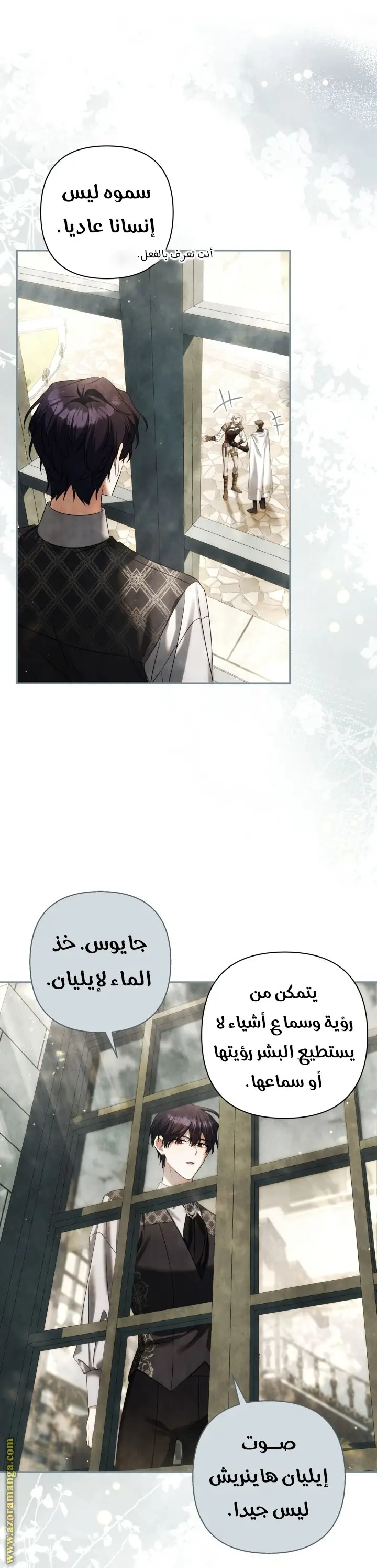 الصفحة 13