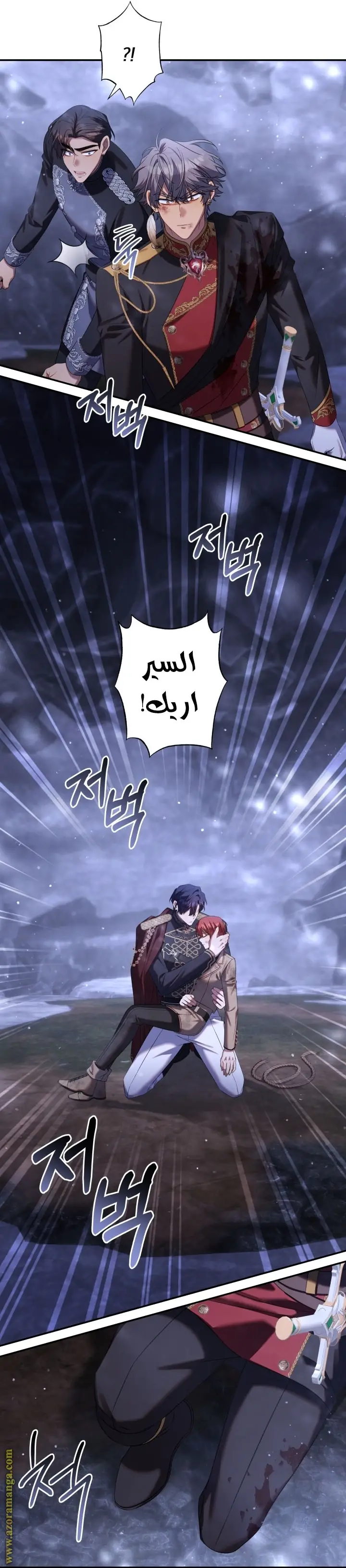 الصفحة 25