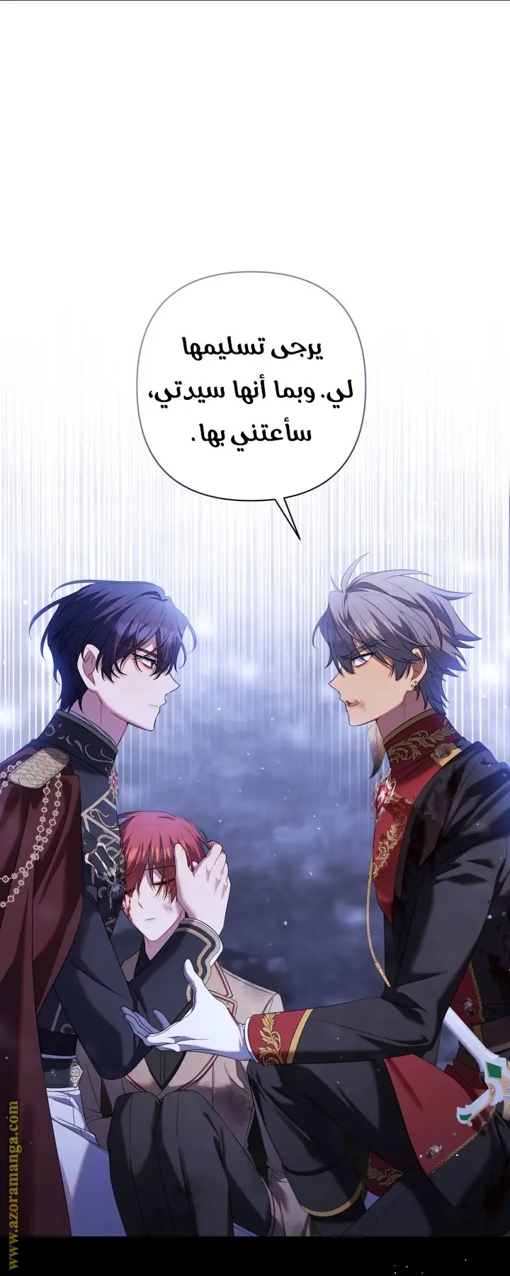 الصفحة 26