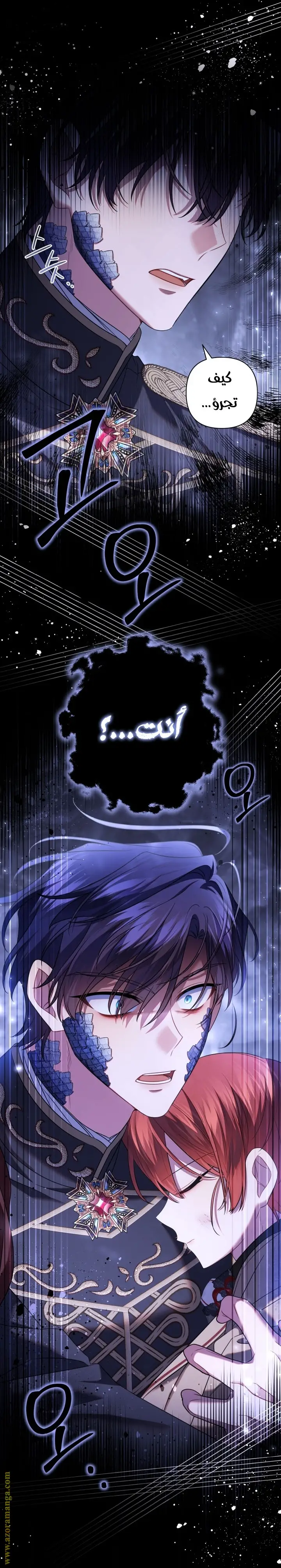 الصفحة 27