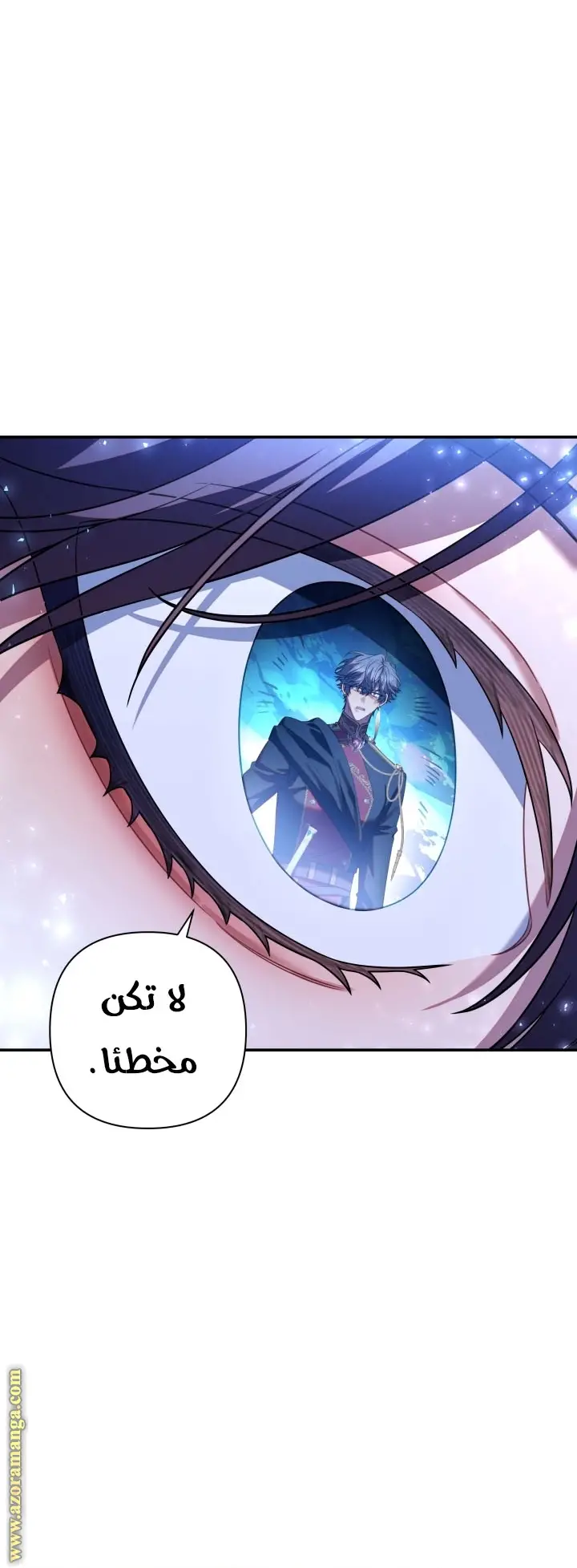 الصفحة 31