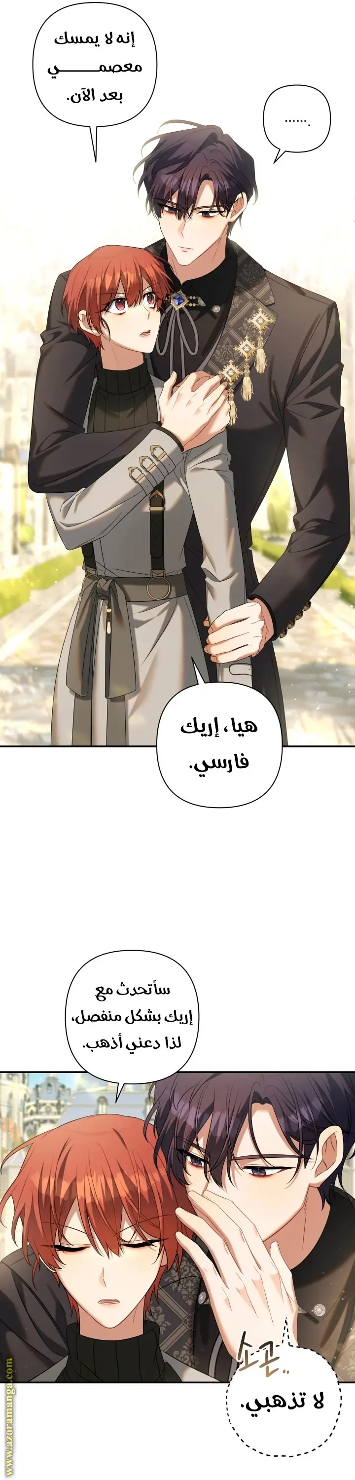 الصفحة 40