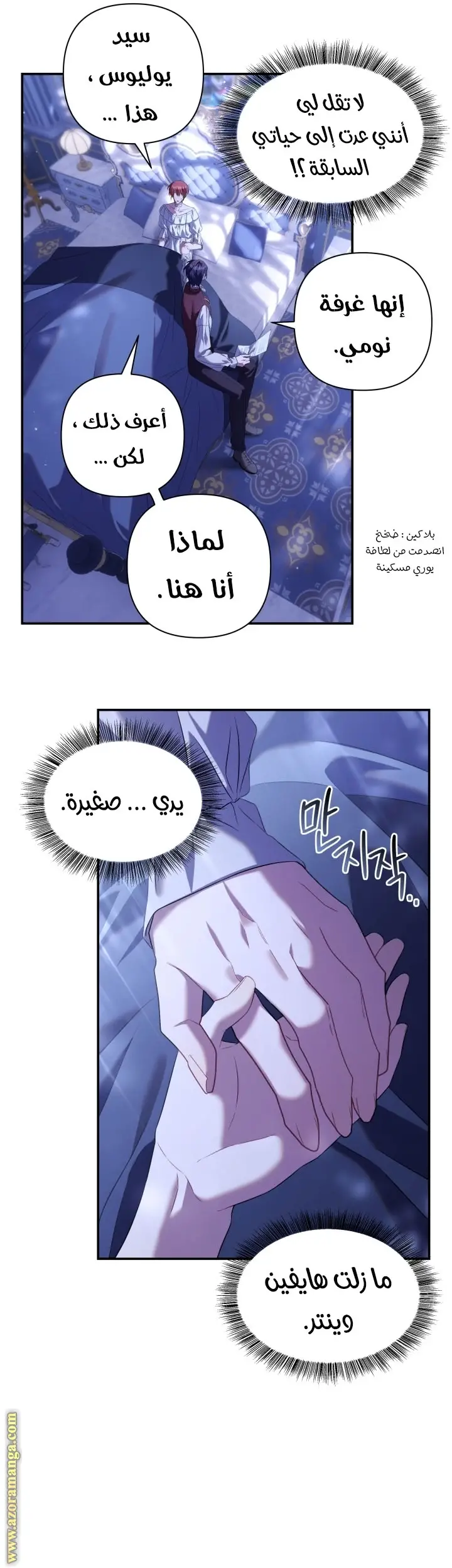 الصفحة 17
