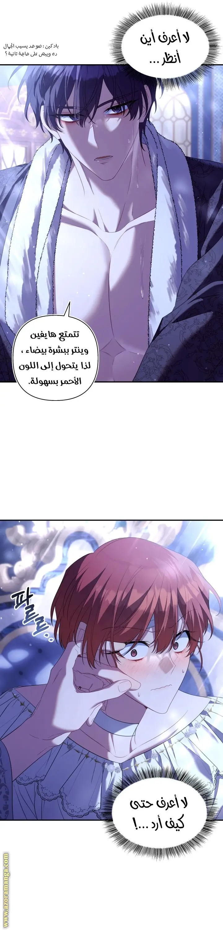 الصفحة 28