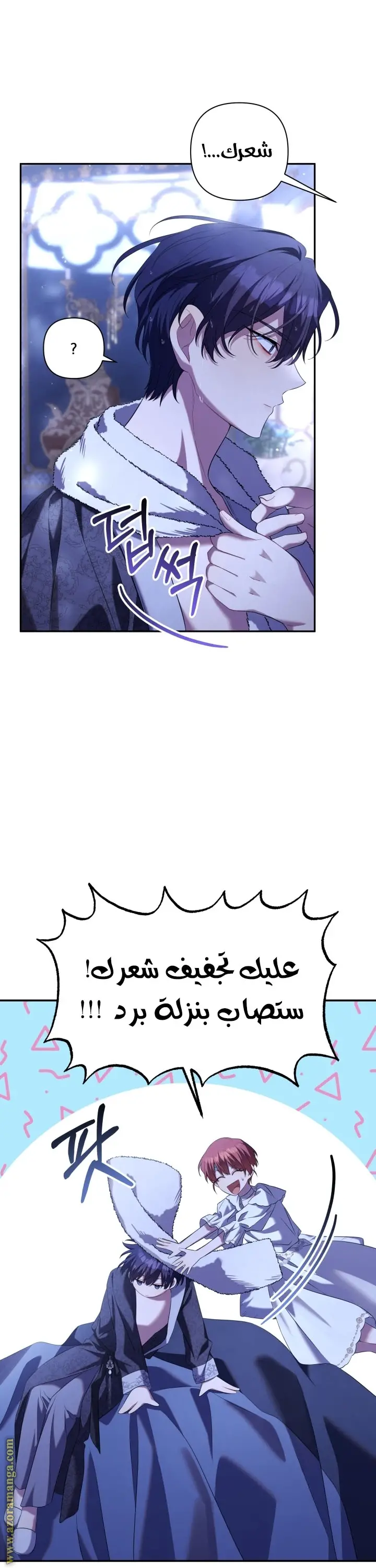 الصفحة 29