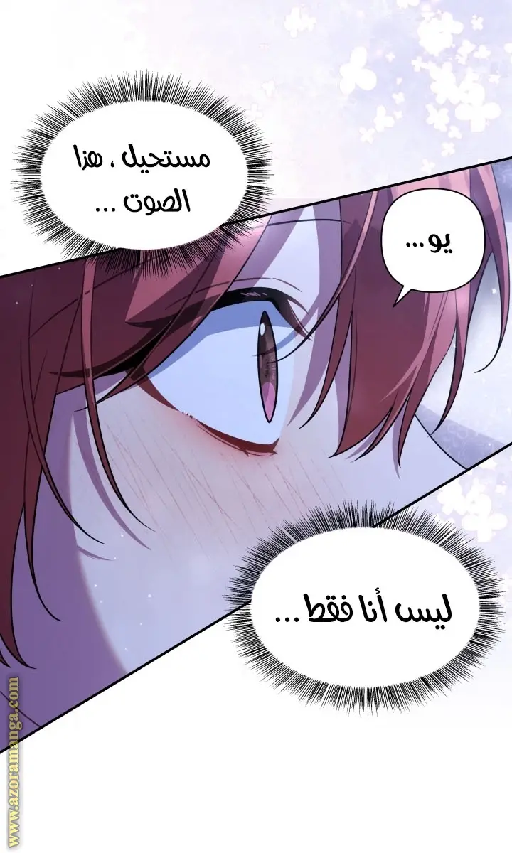 الصفحة 41