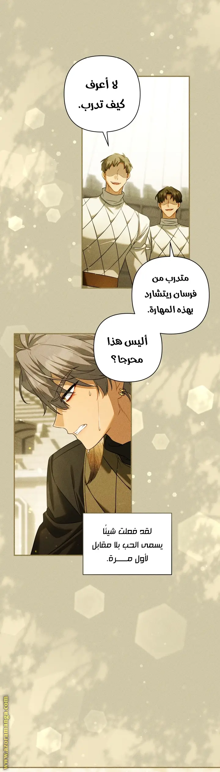 الصفحة 20
