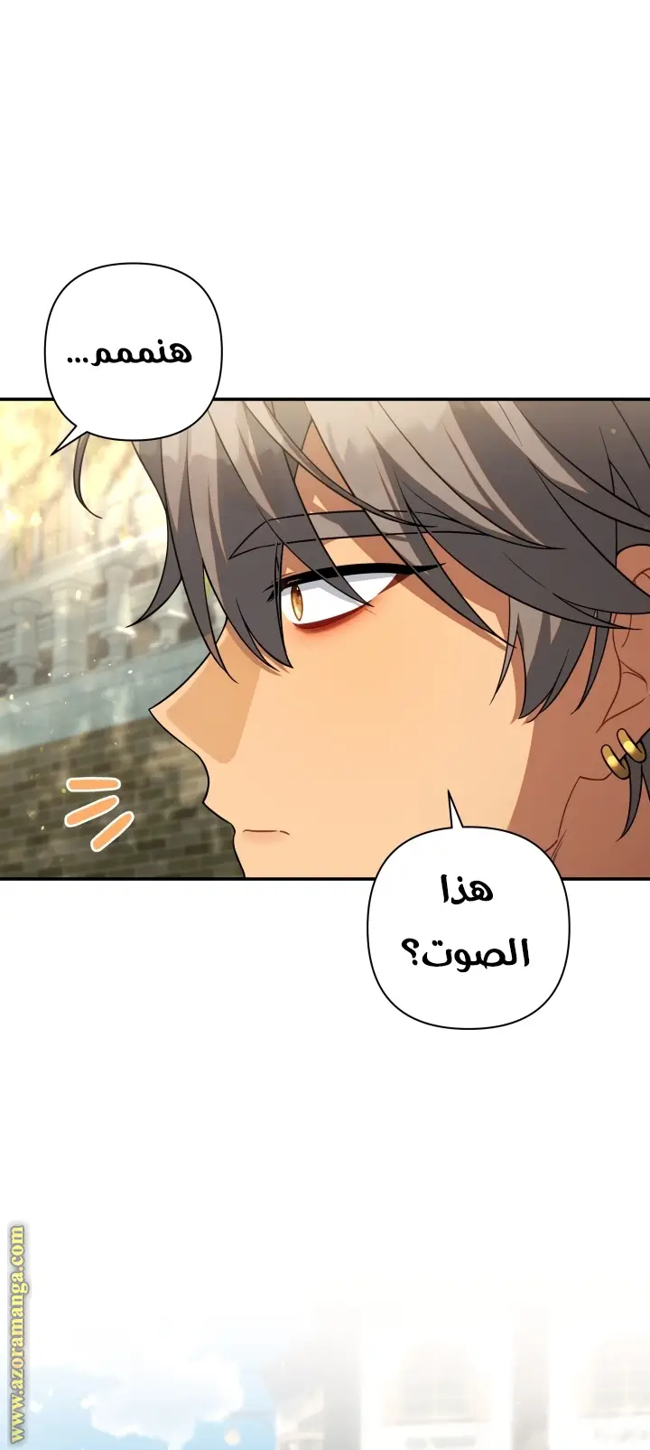 الصفحة 33