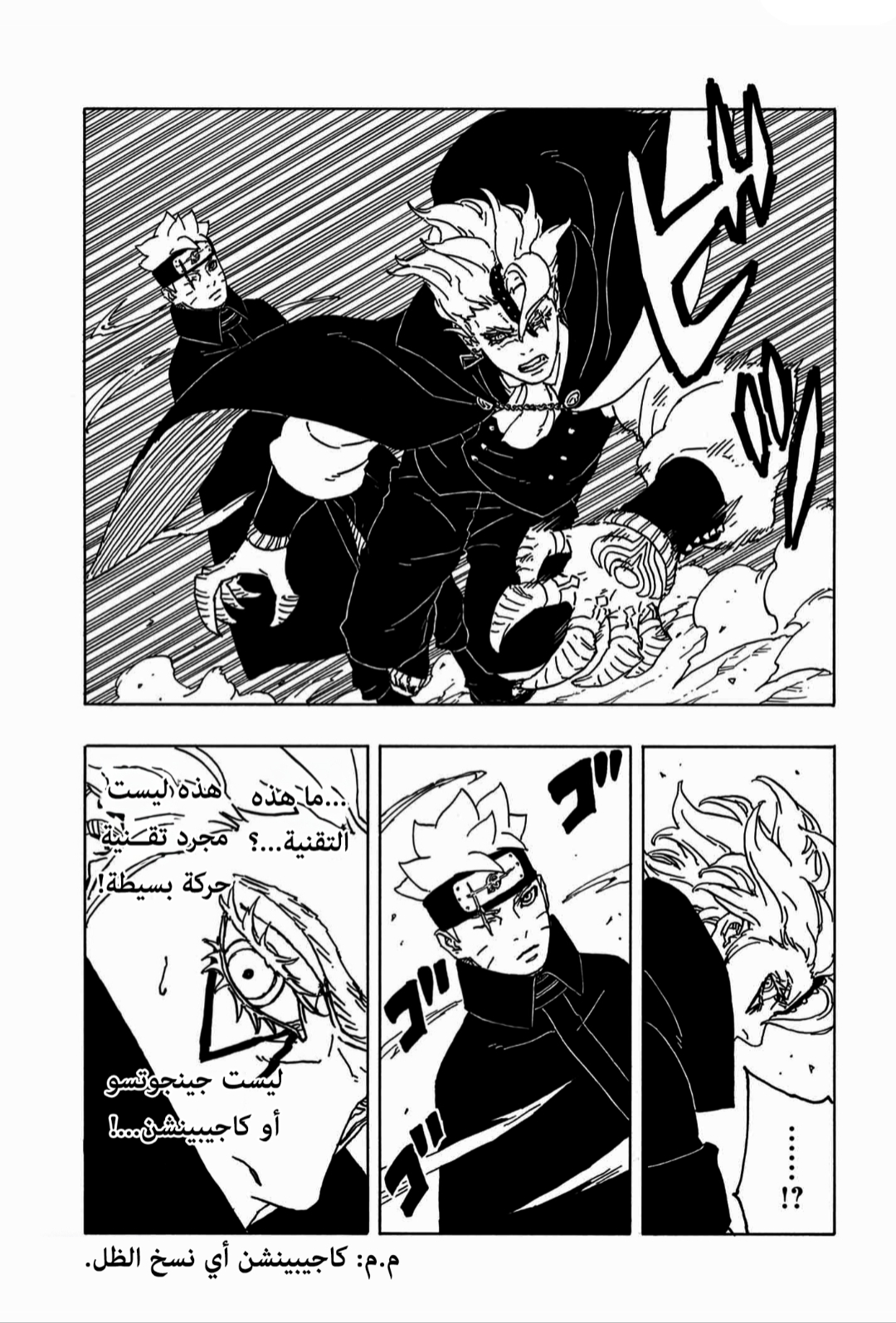 الصفحة 13