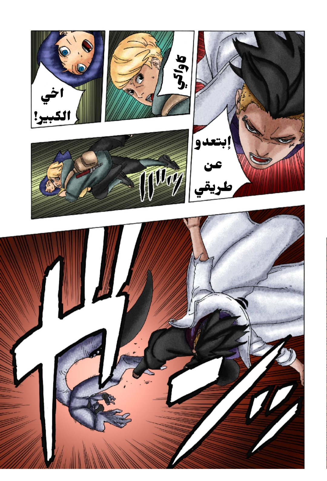 الصفحة 13
