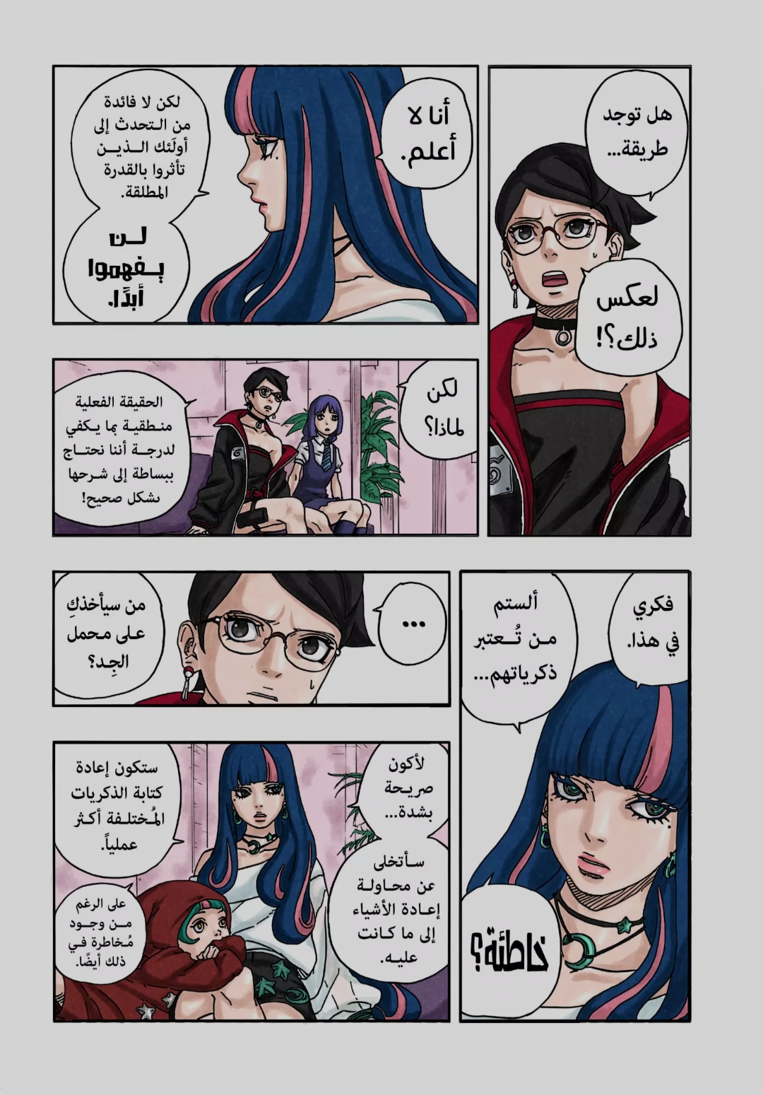الصفحة 13