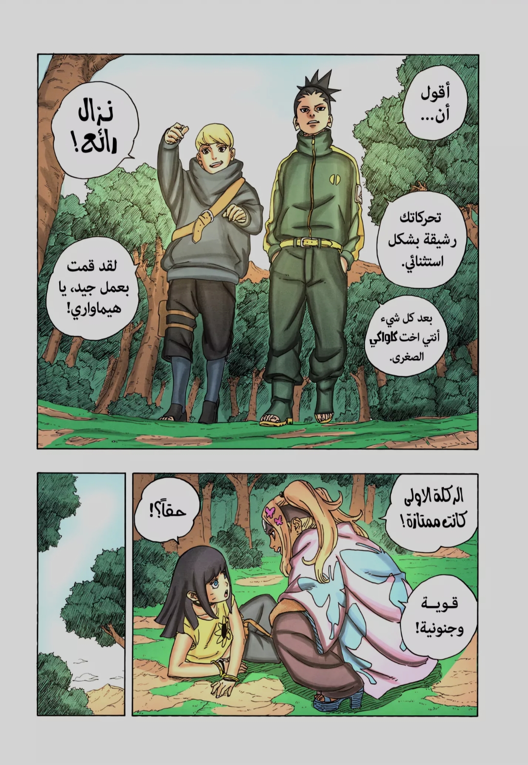 الصفحة 27