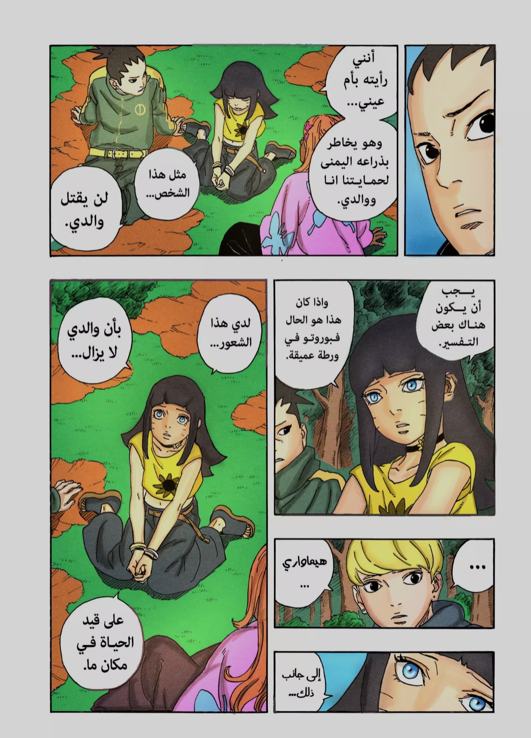الصفحة 30