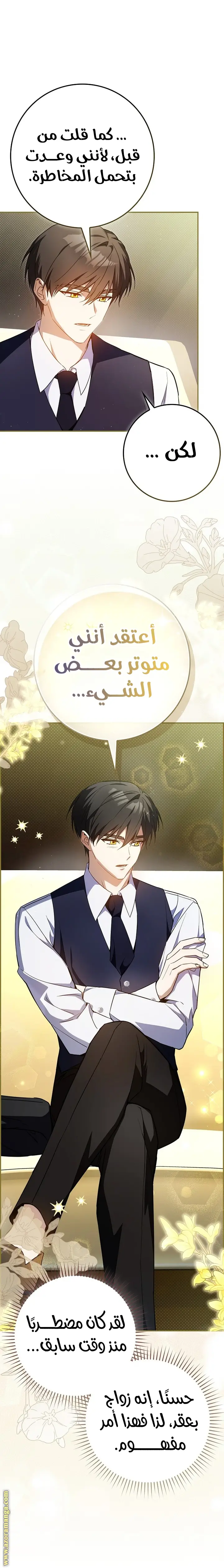 الصفحة 17