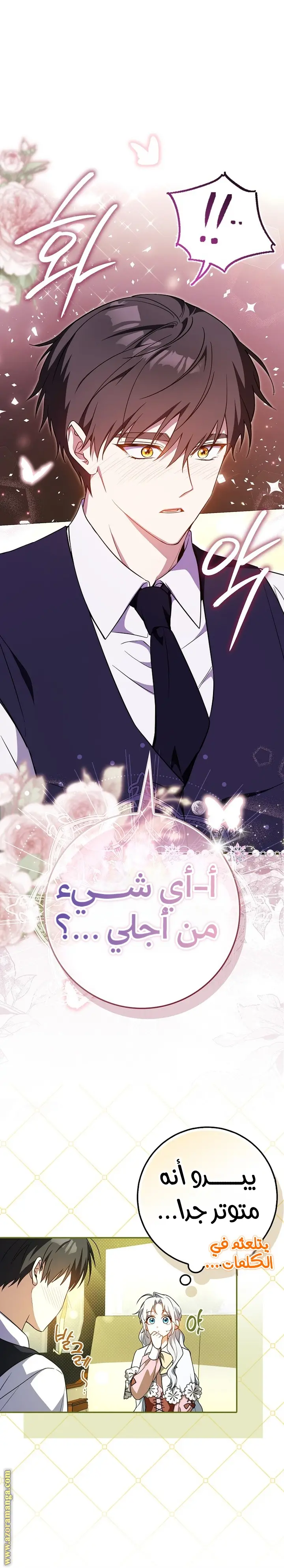 الصفحة 19