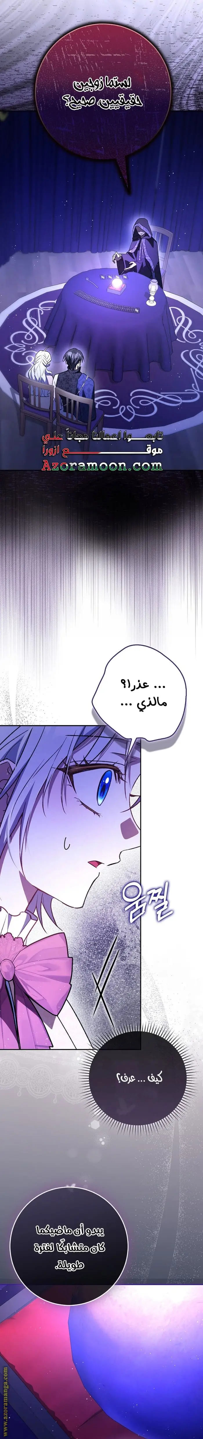 الصفحة 25