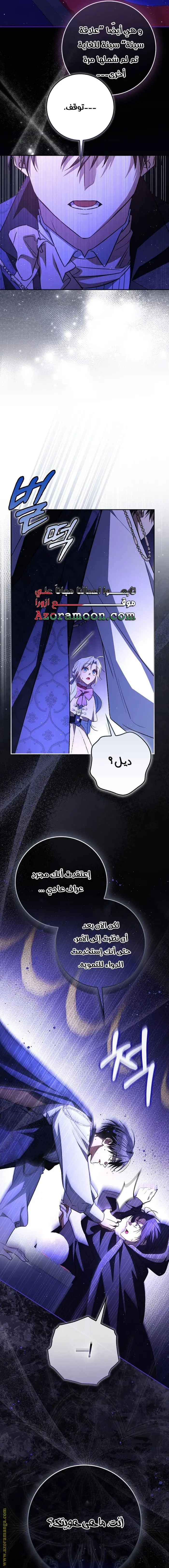 الصفحة 26