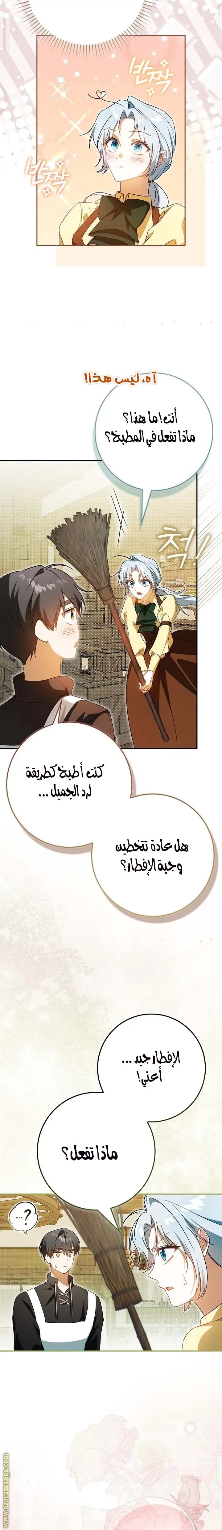الصفحة 19