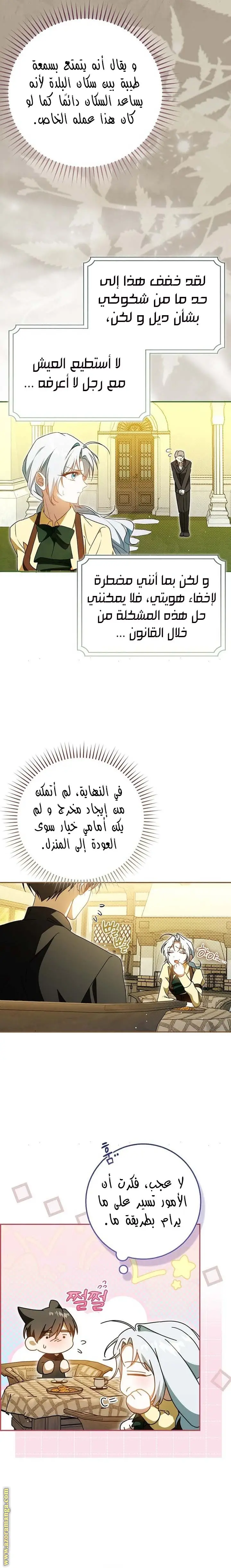 الصفحة 26