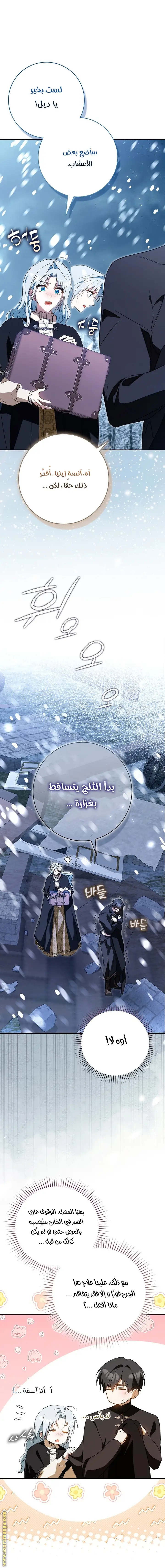 الصفحة 25