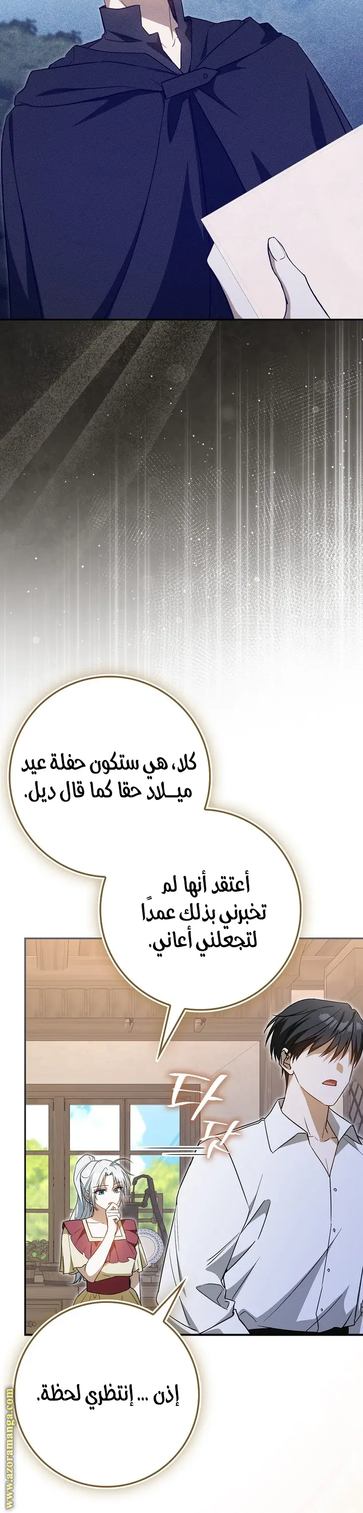 الصفحة 13