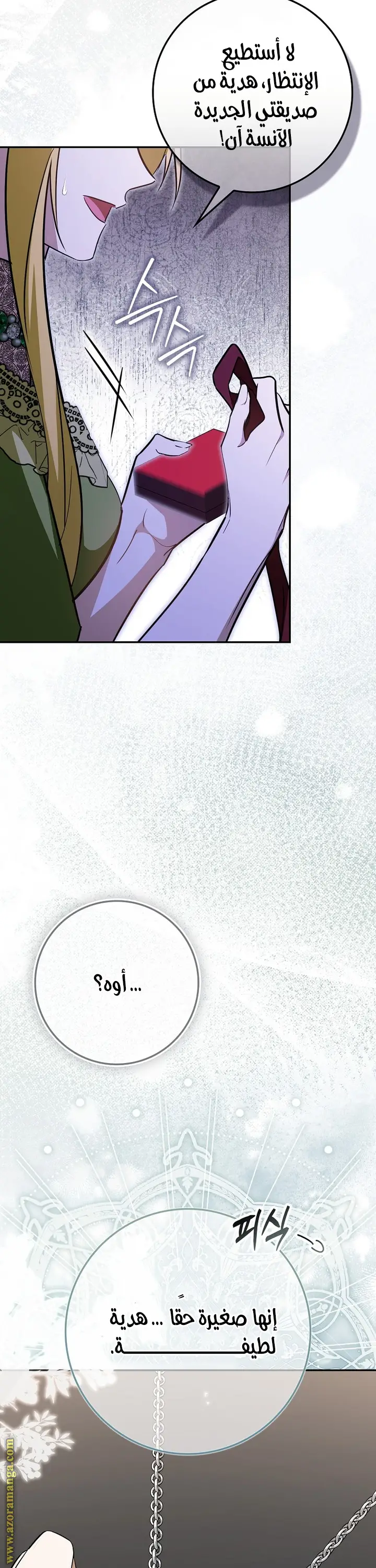 الصفحة 17