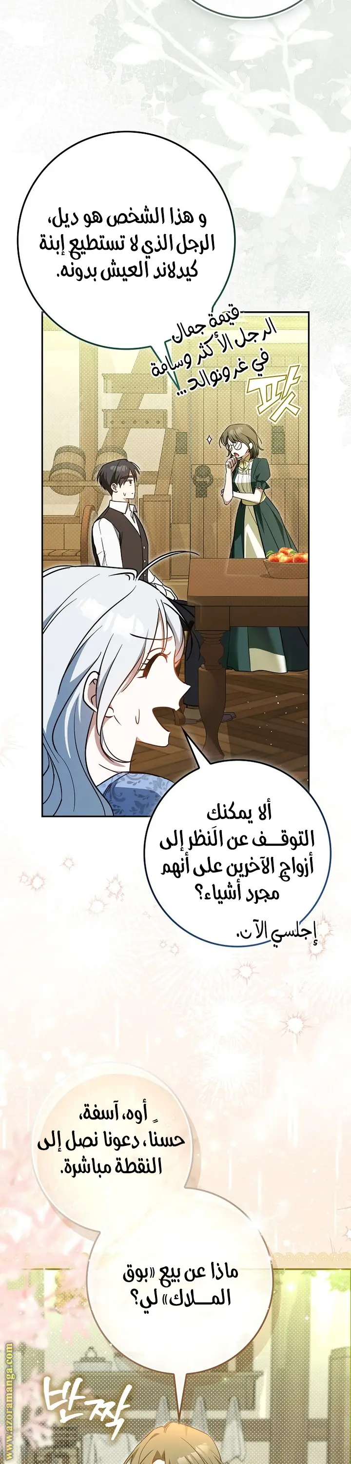 الصفحة 29