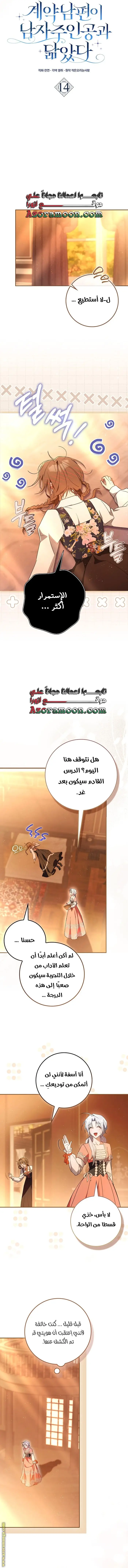 الصفحة 11