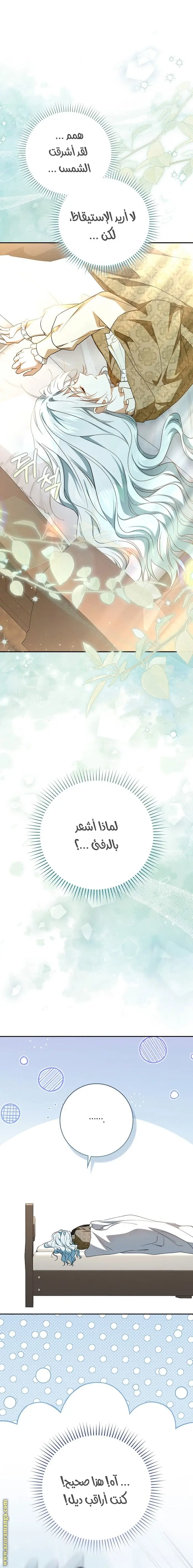 الصفحة 21