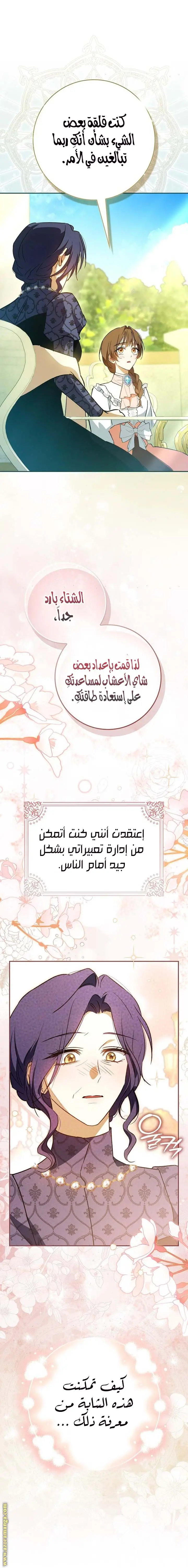 الصفحة 20