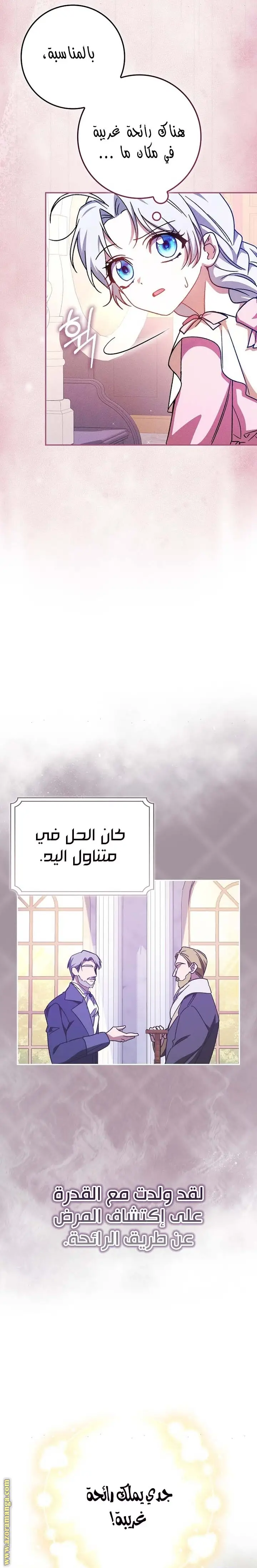 الصفحة 13